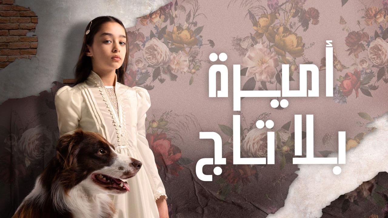 مسلسل اميرة بلا تاج الحلقة 50 الخمسون والاخيرة مدبلجة كاملة HD