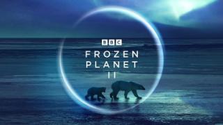 مسلسل Frozen Planet II الموسم الاول الحلقة 1 الاولى مترجمة كاملة HD